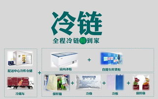 壹天一參史紅新 破解生鮮O2O困局，打造高端滋補(bǔ)品國(guó)內(nèi)貿(mào)易代理新標(biāo)桿
